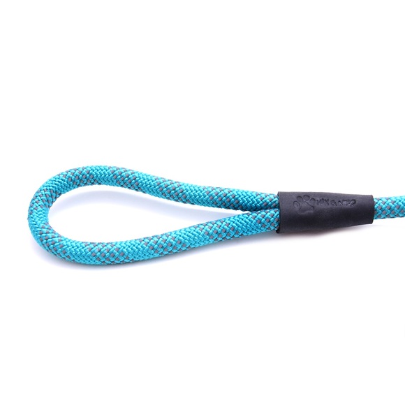 Dog Leash: 5-foot Reflective Nylon Rope Slip Lead, Teal - Picture 2 of 4